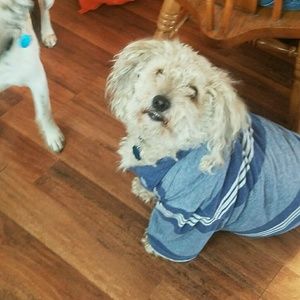 Meet your Posher, Austin